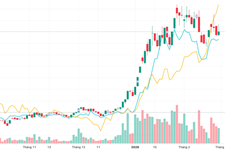 AVF Blog 2026 02 28 Update Icon